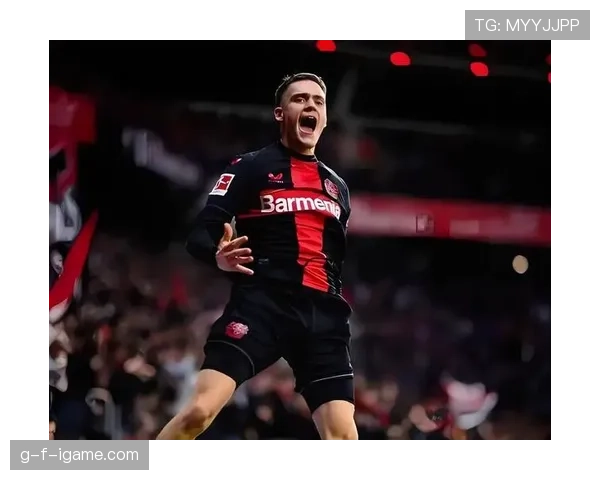 德甲勒沃库森球迷狂热 德甲勒沃库森球迷狂热